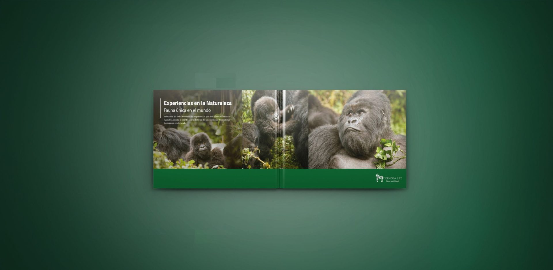 Sobre Hermosa Life Tours and Travels